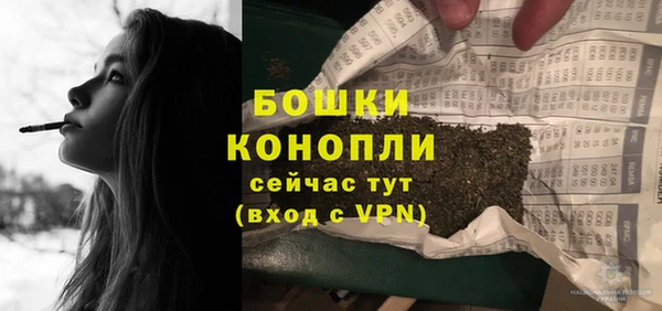 шишки Мегион