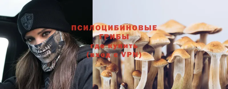 ссылка на мегу как зайти  Зерноград  Галлюциногенные грибы Magic Shrooms  цены  