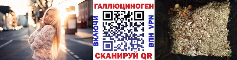 сайты даркнета какой сайт  гидра зеркало  Зерноград  Псилоцибиновые грибы Psilocybe 