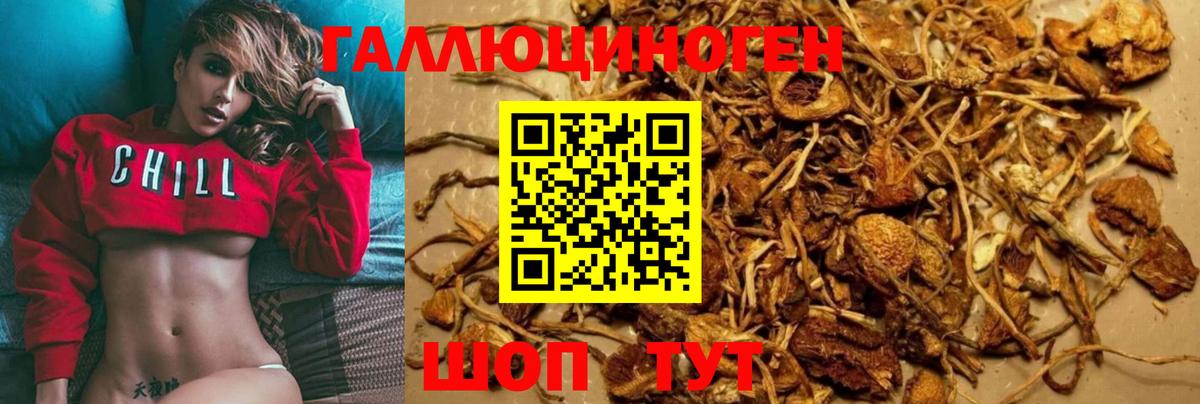Псилоцибиновые грибы MAGIC MUSHROOMS Зерноград